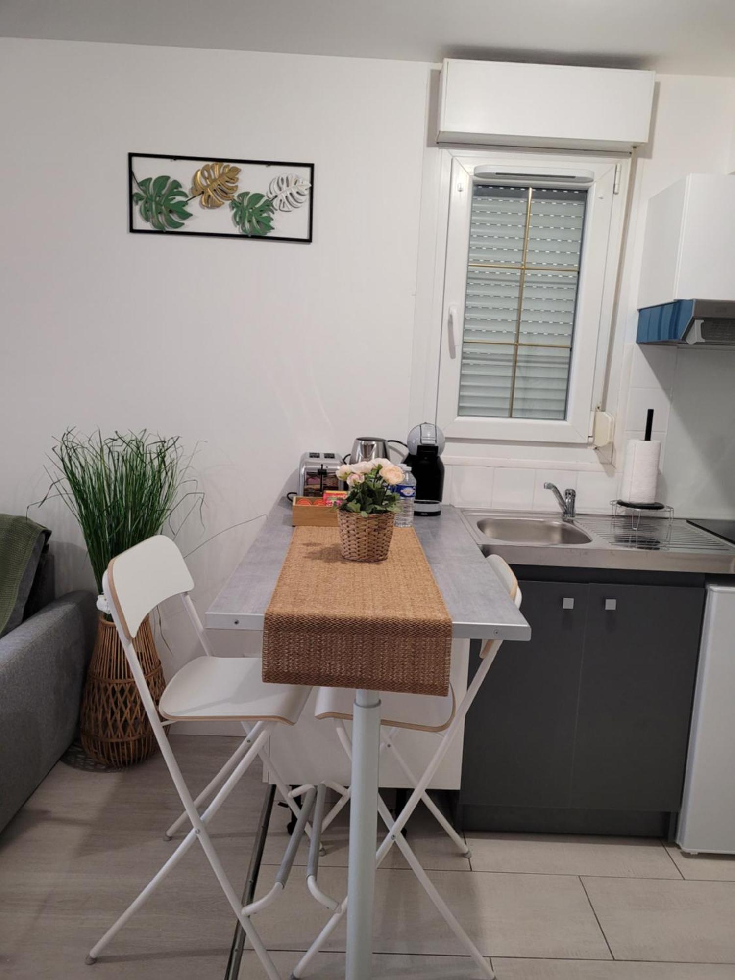 Cocooning House 204 Suite Green- Superb Studio Aeroport Paris Roissy Cdg, Parc Asterix, Chateau De Chantilly, Stade De France Survilliers Buitenkant foto